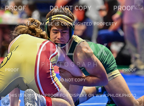 DLS_7537