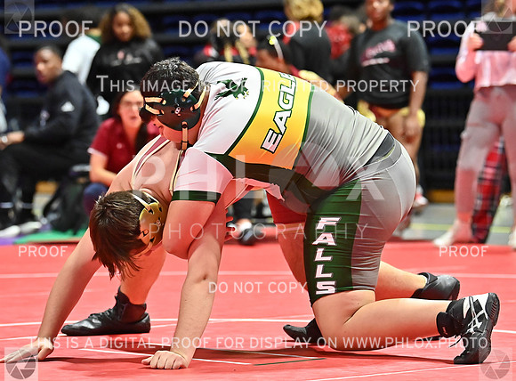 DLS_7134