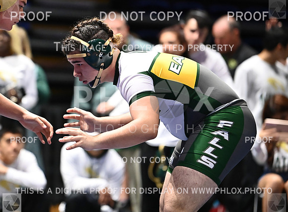 DLS_6354
