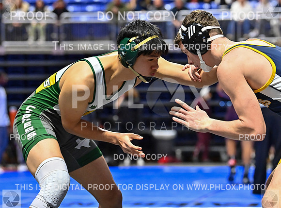 DLS_7028