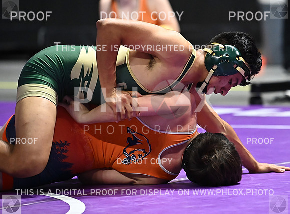 DLS_6126