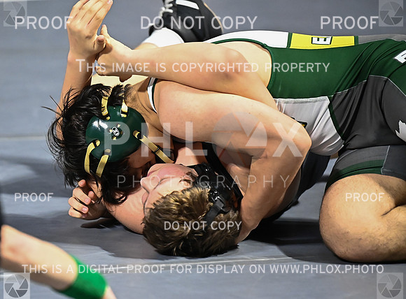 DLS_6274