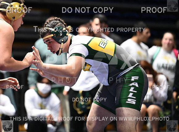 DLS_6355