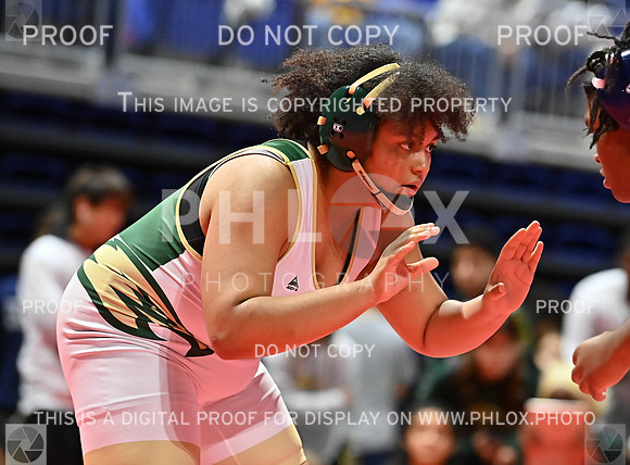 DLS_8285