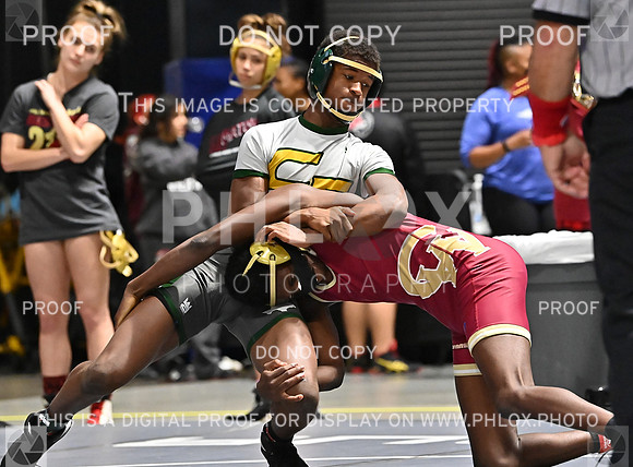 DLS_7129