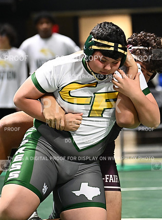 DLS_6350