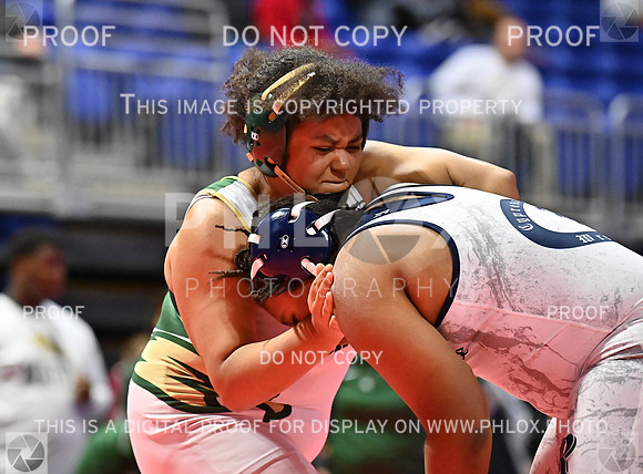 DLS_8280