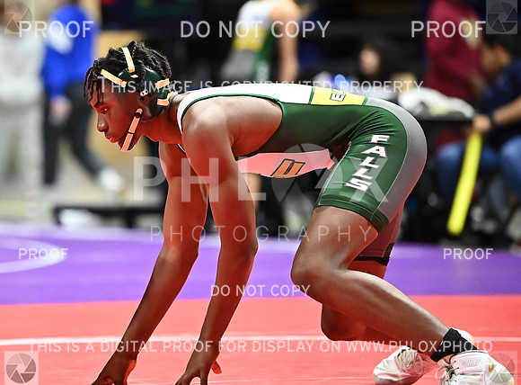 DLS_6249