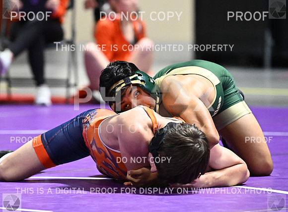 DLS_6120