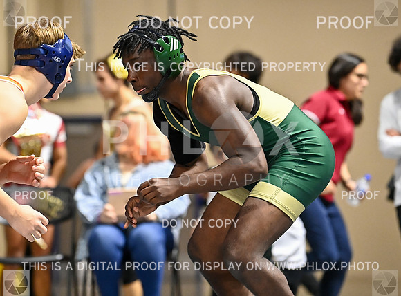 DLS_6925