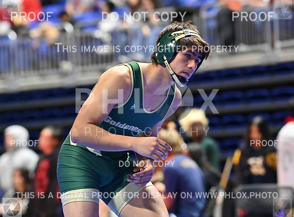 DLS_7519