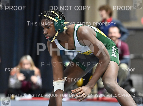 DLS_7815