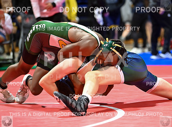 DLS_6292