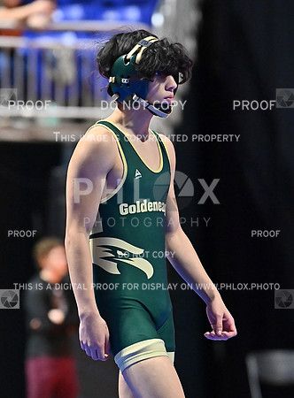 DLS_8296