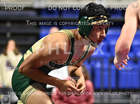 DLS_6135