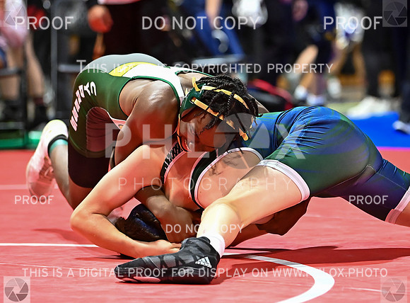 DLS_6290