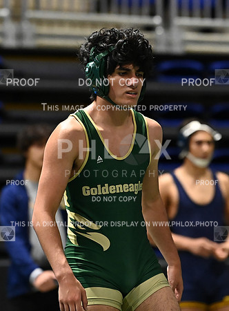DLS_6169