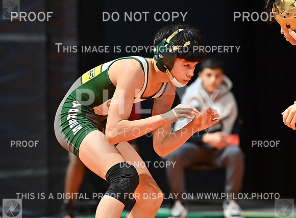DLS_7116