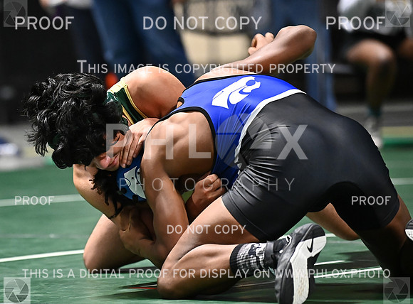 DLS_6173
