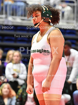 DLS_8270