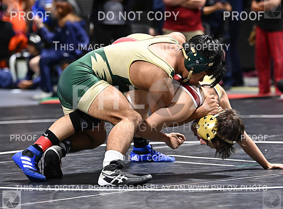 DLS_6147