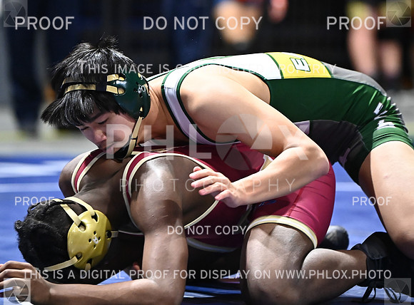 DLS_6344