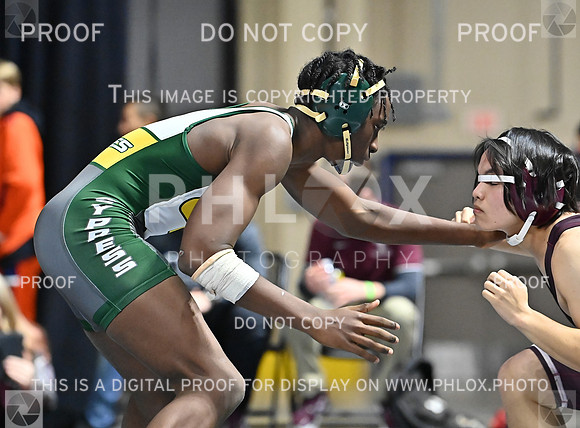 DLS_7818