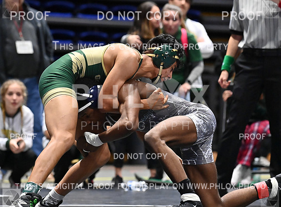DLS_7805