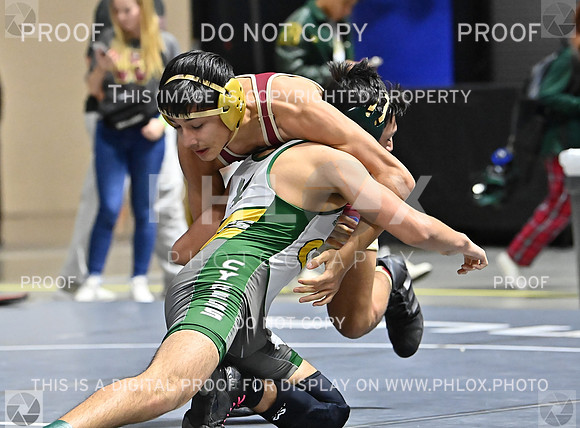 DLS_8460