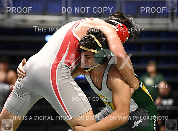 DLS_6240