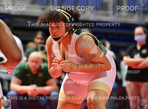 DLS_8282
