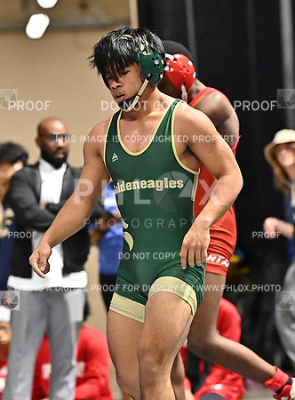 DLS_7551