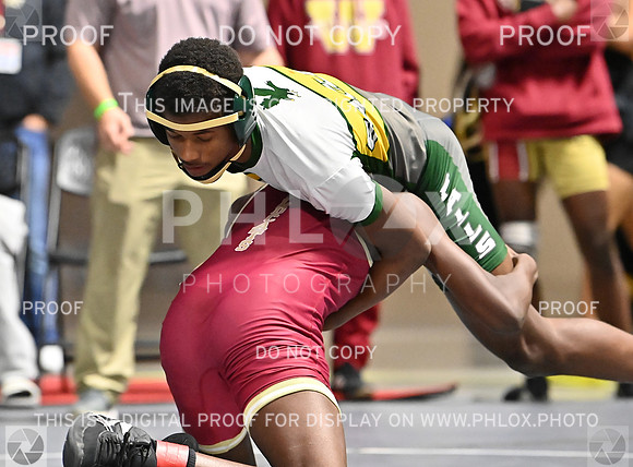 DLS_7127