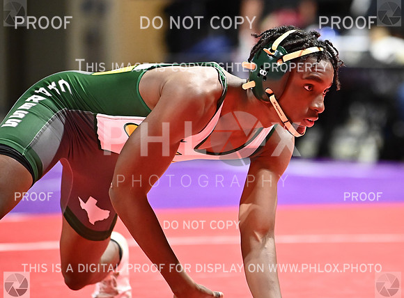 DLS_6254
