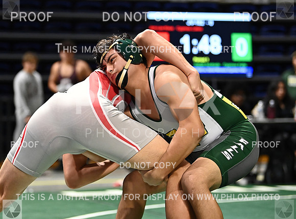 DLS_6243