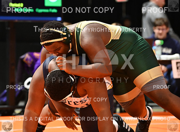 DLS_6919