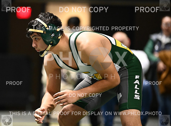 DLS_6238