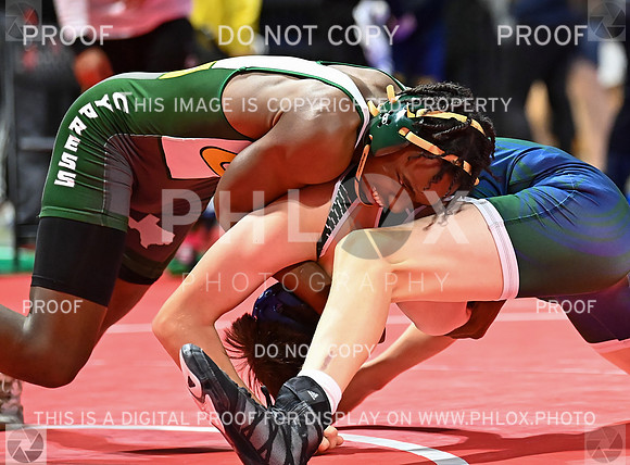 DLS_6294