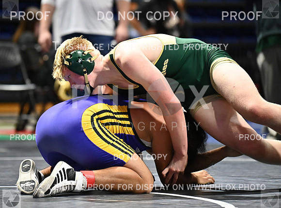 DLS_6719