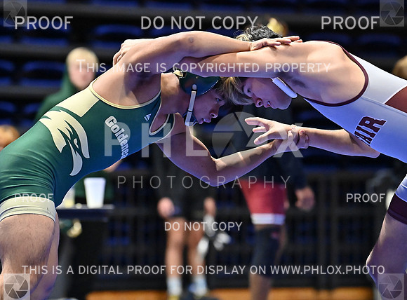 DLS_8331