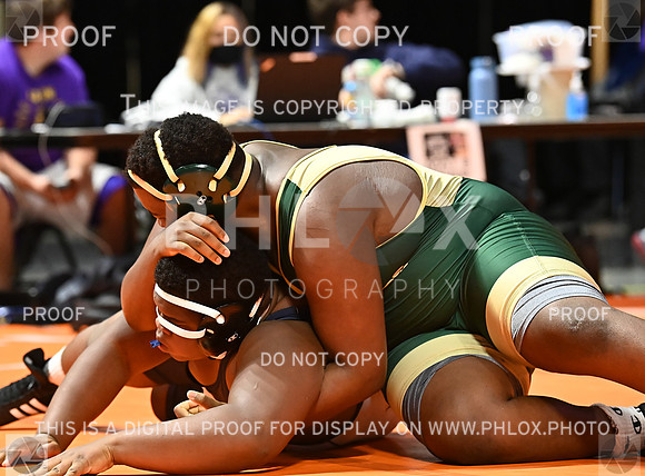 DLS_6918
