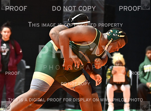 DLS_6910