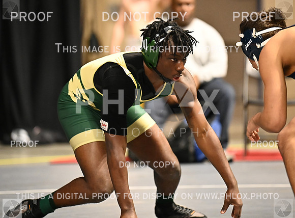 DLS_6612