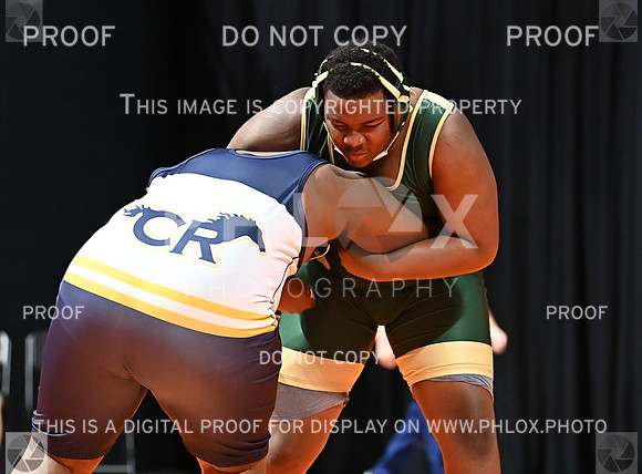 DLS_6902