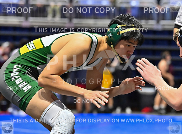 DLS_7026