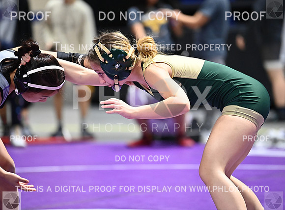 DLS_6368