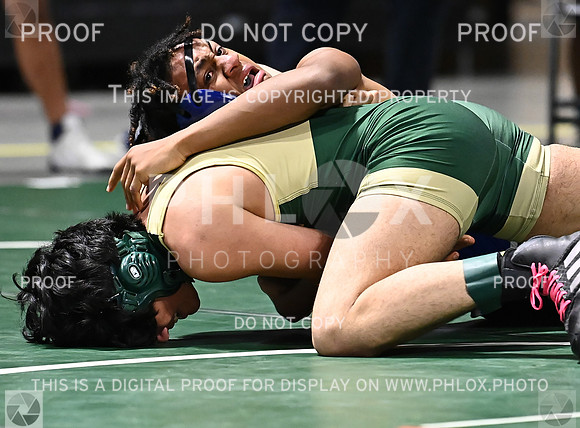 DLS_6144