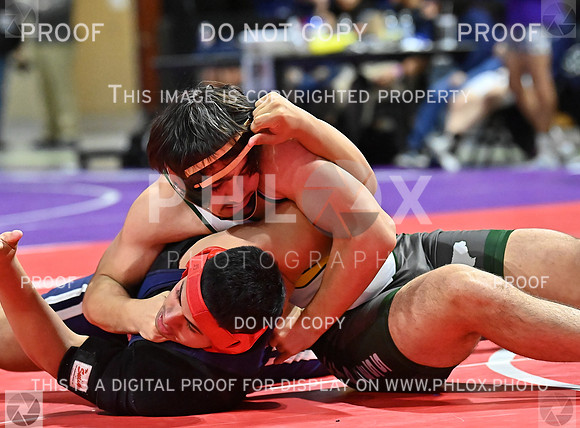 DLS_7942