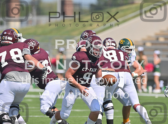DLS_0024