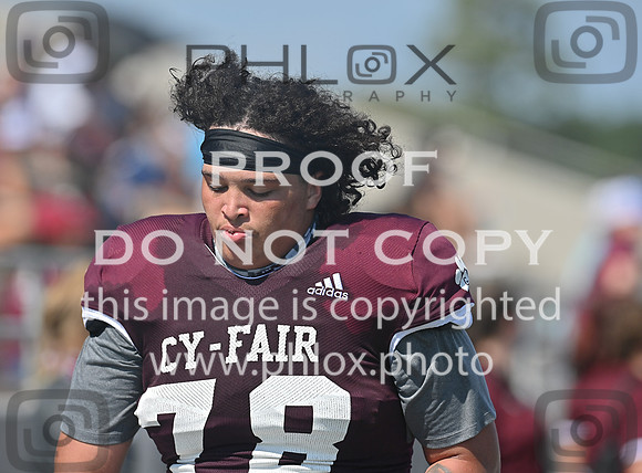 DLS_0166